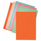 Esselte chemise de classement orange, papier de 80 g/m², paquet de 250 pièces
