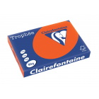 Clairefontaine Trophée Intens, papier couleur, A3, 80 g, 250 feuilles, églantine