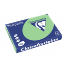 Clairefontaine Trophée Pastel, papier couleur, A3, 80 g, 500 feuilles, vert nature