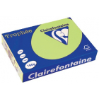 Clairefontaine Trophée Pastel, papier couleur, A4, 160 g, 250 feuilles, vert golf