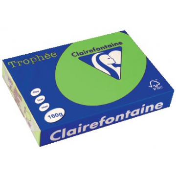 Clairefontaine Trophée Intens, gekleurd papier, A4, 160 g, 250 vel, grasgroen