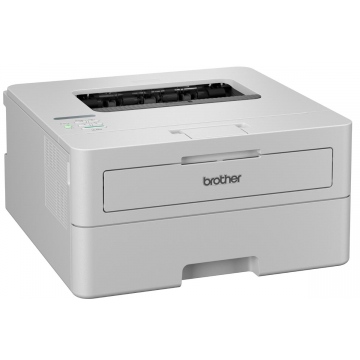 Brother zwart-wit laserprinter HL-L2865DW