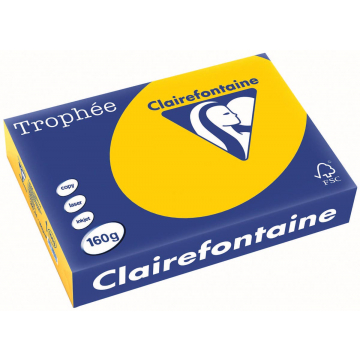 Clairefontaine Trophée Intens A4 zonnebloemgeel, 160 g, 250 vel