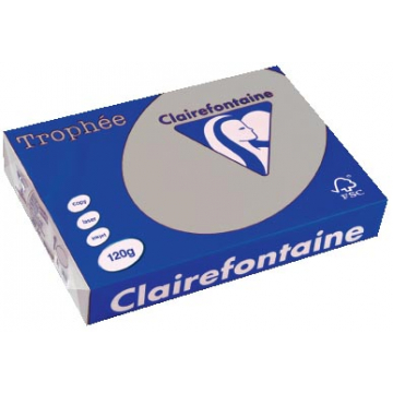 Clairefontaine Trophée Pastel A4 lichtgrijs, 120 g, 250 vel