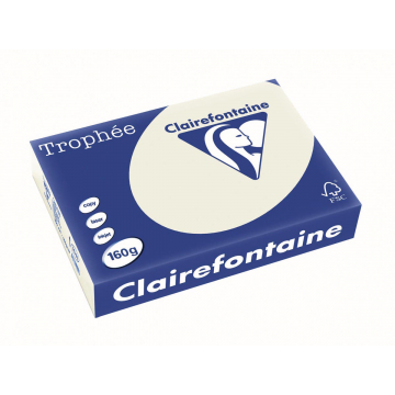 Clairefontaine Trophée Pastel, papier couleur, A4, 160 g, 250 feuilles, gris perle