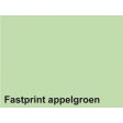 Kopieerpapier Quantore Colour A3 80gr appelgroen
