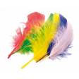 Bouhon plumes 15 cm, 50 pièces