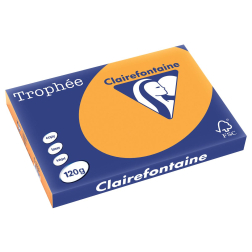 Clairefontaine Trophée Pastel, papier couleur, A3, 120 g, 250 feuilles, clémentine