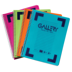 Gallery Cahier à reliure spirale Bicolor ft 14,8 x 21 cm (A5), quadrillé 5 mm