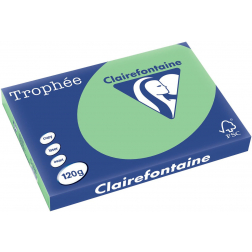 Clairefontaine Trophée Pastel, papier couleur, A3, 120 g, 250 feuilles, vert nature