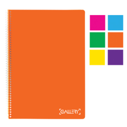 Gallery cahier Ã  reliure spirale Colour ft 21 x 29,7 cm (A4), quadrillÃ© 5 mm, perforation Ã  4 trous