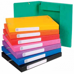 Exacompta Boîte de classement Cartobox dos de 2,5 cm, couleurs assorties: vert, bleu, jaune, rouge, or...