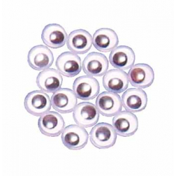 Bouhon yeux mobiles 8 mm