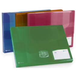 Rexel boîte de classement Ice couleurs assorties, dos de 40 mm