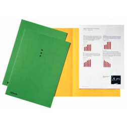 Esselte chemise de classement vert, carton de 180 g/m², paquet de 100 pièces