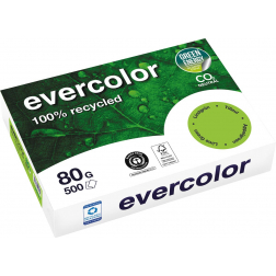 Clairefontaine Evercolor, papier couleur recyclé, A4, 80g, 500 feuilles, tilleil