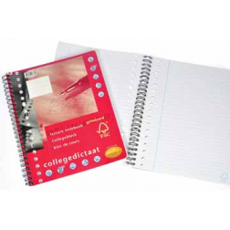 Multo bloc collège ft 16,5 x 21 cm, ligné, perforation 17 trous
