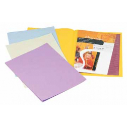 Rainex chemise de classement, pour ft A4, paquet de 250 pièces, chamois