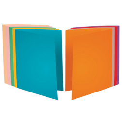 Exacompta Chemise Forever Bengali 5 couleurs assorties, en papier de 80 g par m², paquet de 250 pièces