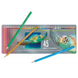 Bruynzeel Crayon de couleur Tortue