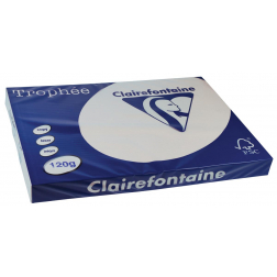 Clairefontaine Trophée Pastel, papier couleur, A3, 120 g, 250 feuilles, gris clair