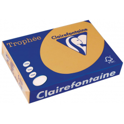 Clairefontaine Trophée Pastel, papier couleur, A4, 160 g, 250 feuilles, caramel