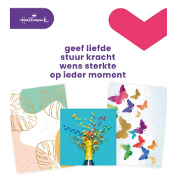 Hallmark set de recharge cartes de souhaits, vierge (NL), paquet de 8 pièces