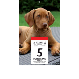 Plaque pour le dos avec photo pour le 'Druivelaar' et le 'Sablier', 2026