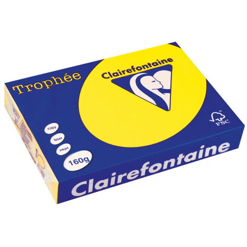 Clairefontaine Trophée Intens, papier couleur, A4, 160 g, 250 feuilles, jaune soleil