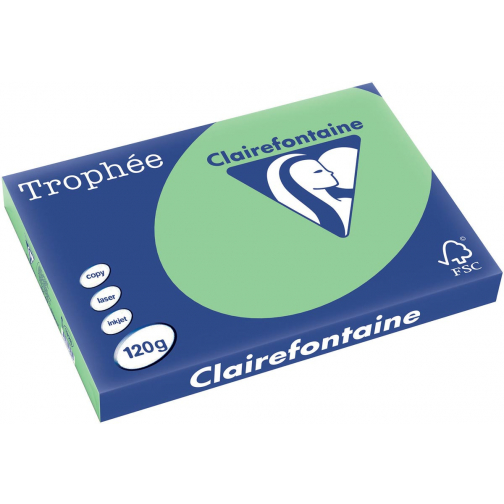 Clairefontaine Trophée Pastel, papier couleur, A3, 120 g, 250 feuilles, vert nature