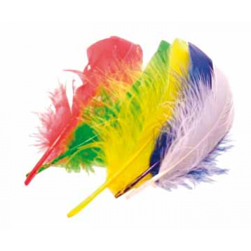 Bouhon plumes 15 cm, 50 pièces