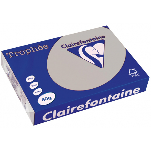 Clairefontaine Trophée papier couleur, A4, 80 g, 500 feuilles, gris clair