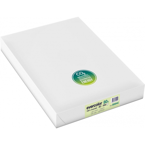 Clairefontaine Evercolor papier couleur recyclé, A3, 80g, 500 feuilles, vert clair