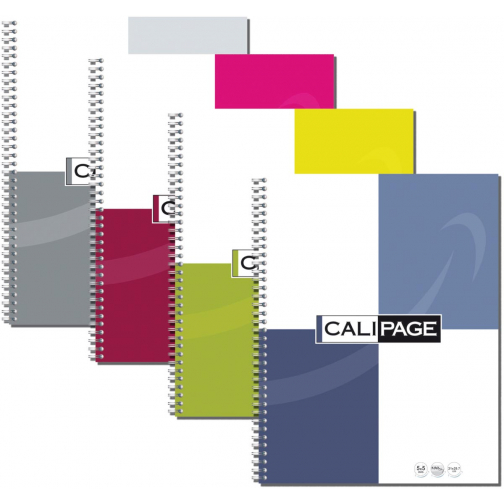 Calipage cahier spirale ft A4, petits carreaux, couleurs assorties, 100 pages