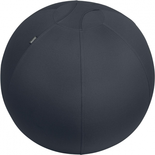 Leitz Ergo ballon d'assise active, système anti-roulement, 65 cm, gris