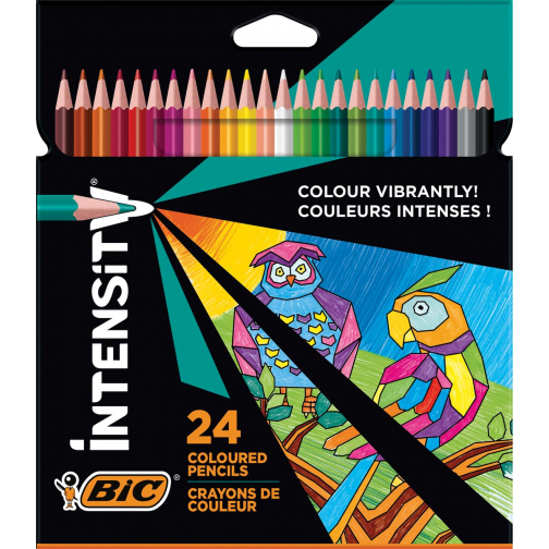 Bic crayon de couleur Color Up, 24 crayons en étui cartonné