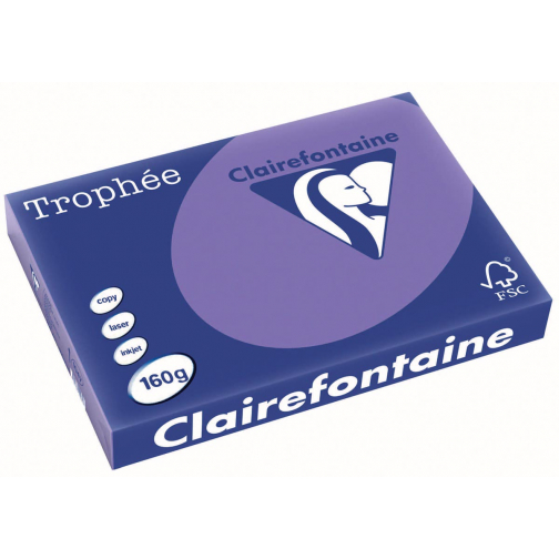 Clairefontaine Trophée Intens, papier couleur, A3, 160 g, 250 feuilles, violet