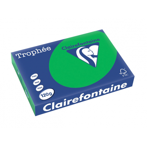 Clairefontaine Trophée Intens, papier couleur, A4, 120 g, 250 feuilles, vert billard