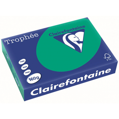Clairefontaine Trophée Intens, papier couleur, A4, 160 g, 250 feuilles, vert sapin
