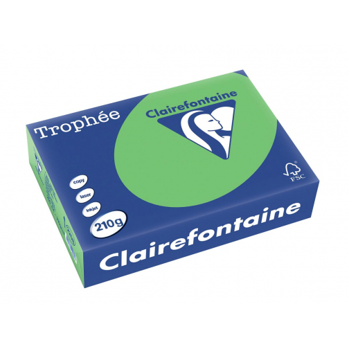 Clairefontaine Trophée Intens, papier couleur, A4, 210 g, 250 feuilles, vert menthe