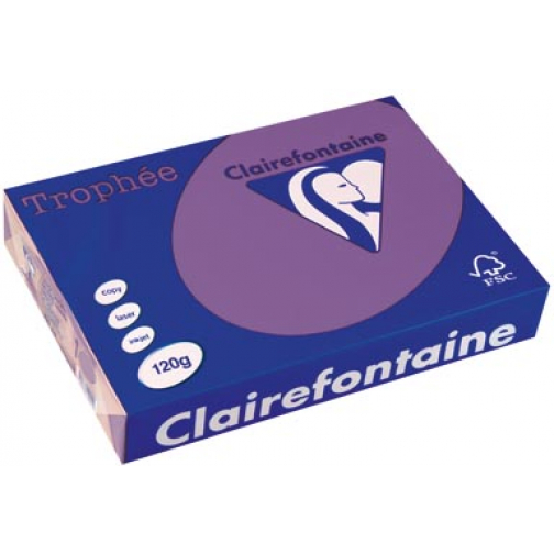 Clairefontaine Trophée Intens, papier couleur, A4, 120 g, 250 feuilles, violet
