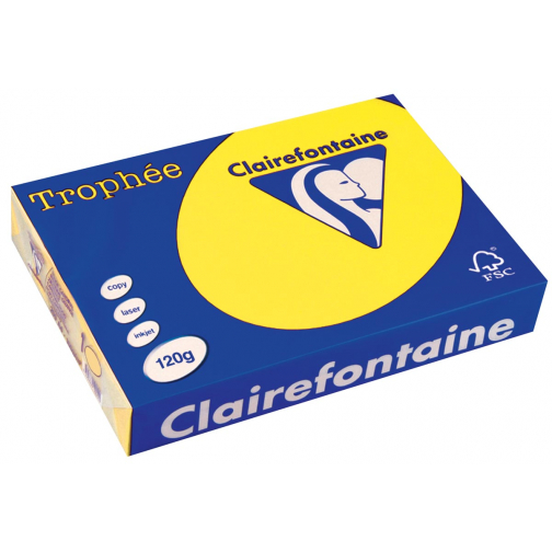 Clairefontaine Trophée Intens, papier couleur, A4, 120 g, 250 feuilles, jaune soleil