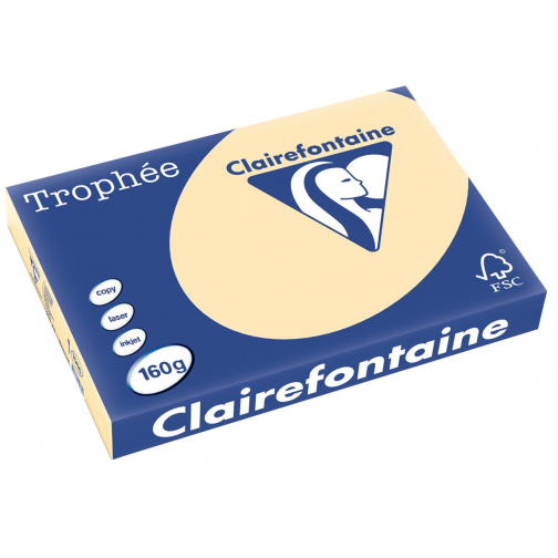 Clairefontaine Trophée Pastel, papier couleur, A3, 160 g, 250 feuilles, chamois