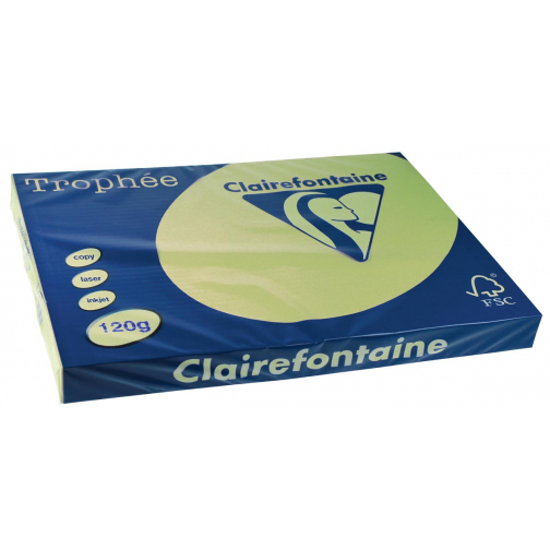 Clairefontaine Trophée Pastel, papier couleur, A3, 120 g, 250 feuilles, vert golf