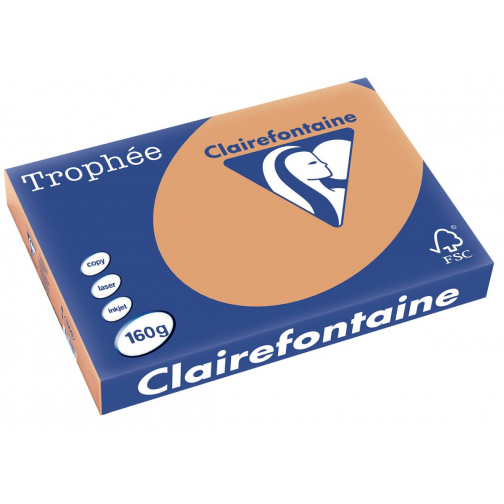 Clairefontaine Trophée Pastel, papier couleur, A3, 160 g, 250 feuilles, caramel