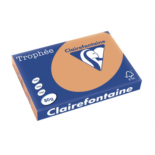 Clairefontaine Trophée Pastel, papier couleur, A3, 80 g, 500 feuilles, caramel