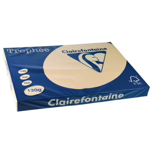 Clairefontaine Trophée Pastel, papier couleur, A3, 120 g, 250 feuilles, gris perle