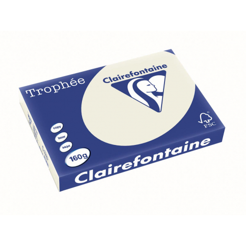 Clairefontaine Trophée Pastel, papier couleur, A3, 160 g, 250 feuilles, gris perle