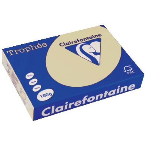 Clairefontaine Trophée Pastel, papier couleur, A4, 160 g, 250 feuilles, chamois