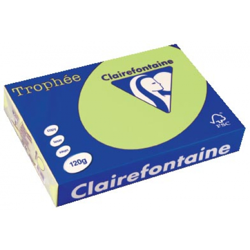 Clairefontaine Trophée Pastel, papier couleur, A4, 120 g, 250 feuilles, vert golf